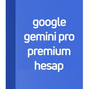 Google Gemini Pro Veo